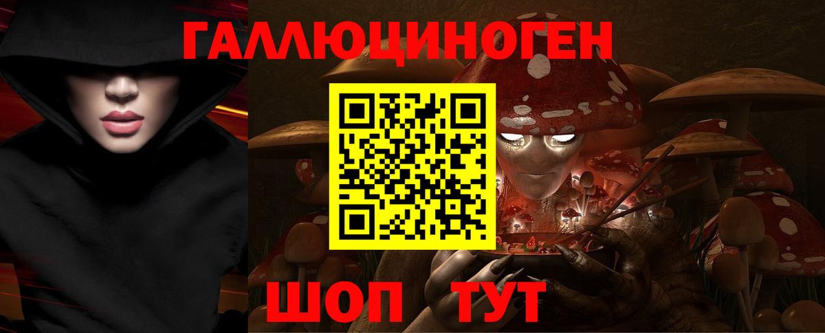 Будённовск  Галлюциногенные грибы MAGIC MUSHROOMS  Вход с VPN 